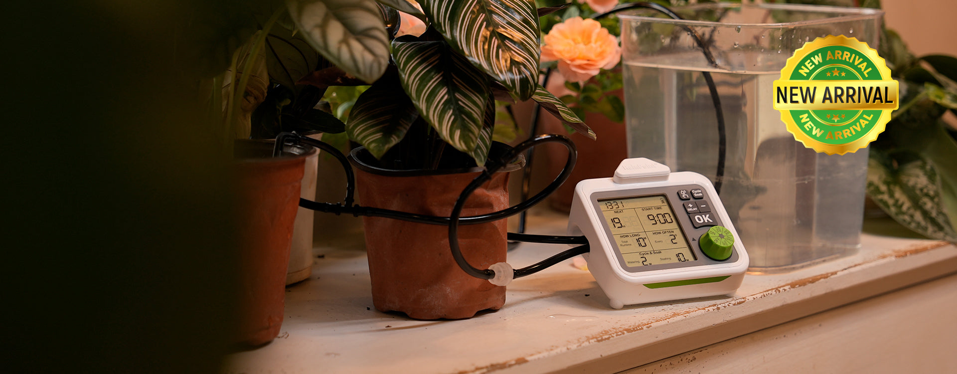 automatic plant watering system