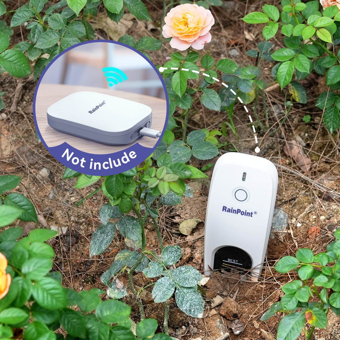 rain point wifi module