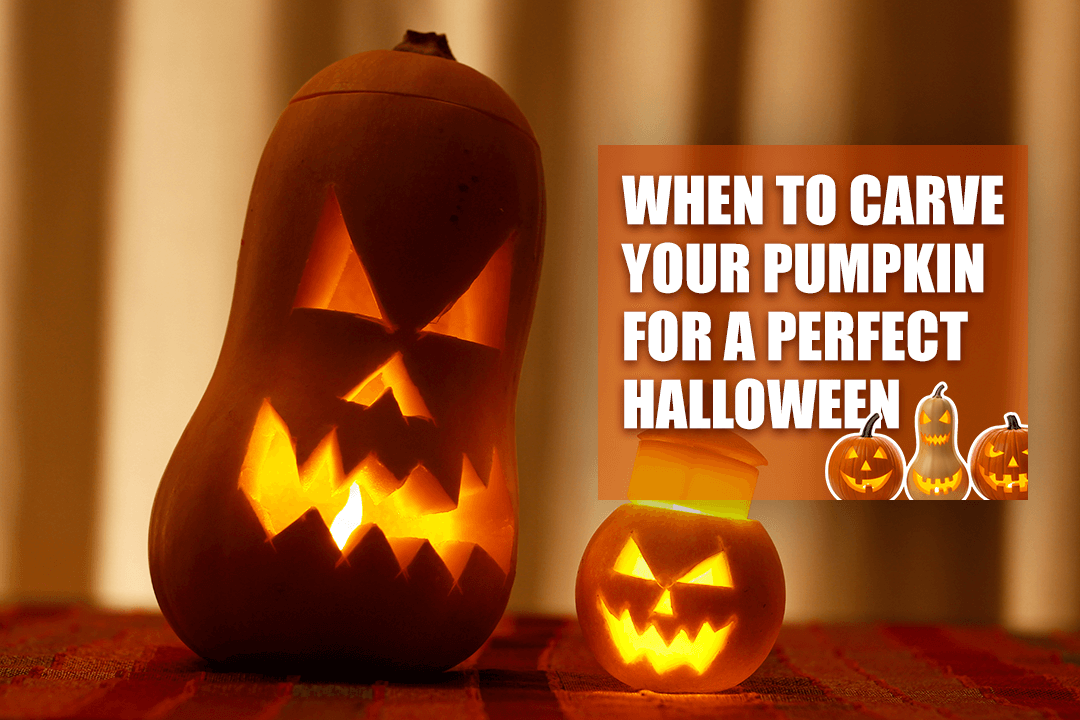 When to Carve Your Pumpkin for a Perfect Halloween