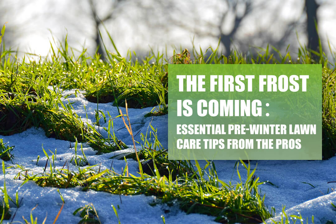 The First Frost is Coming: Essential Pre-Winter Lawn Care Tips from the Pros