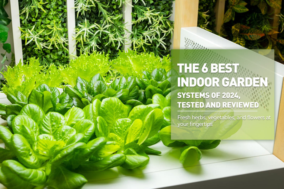The 6 Best Indoor Garden Systems of 2024, Tested and Reviewed