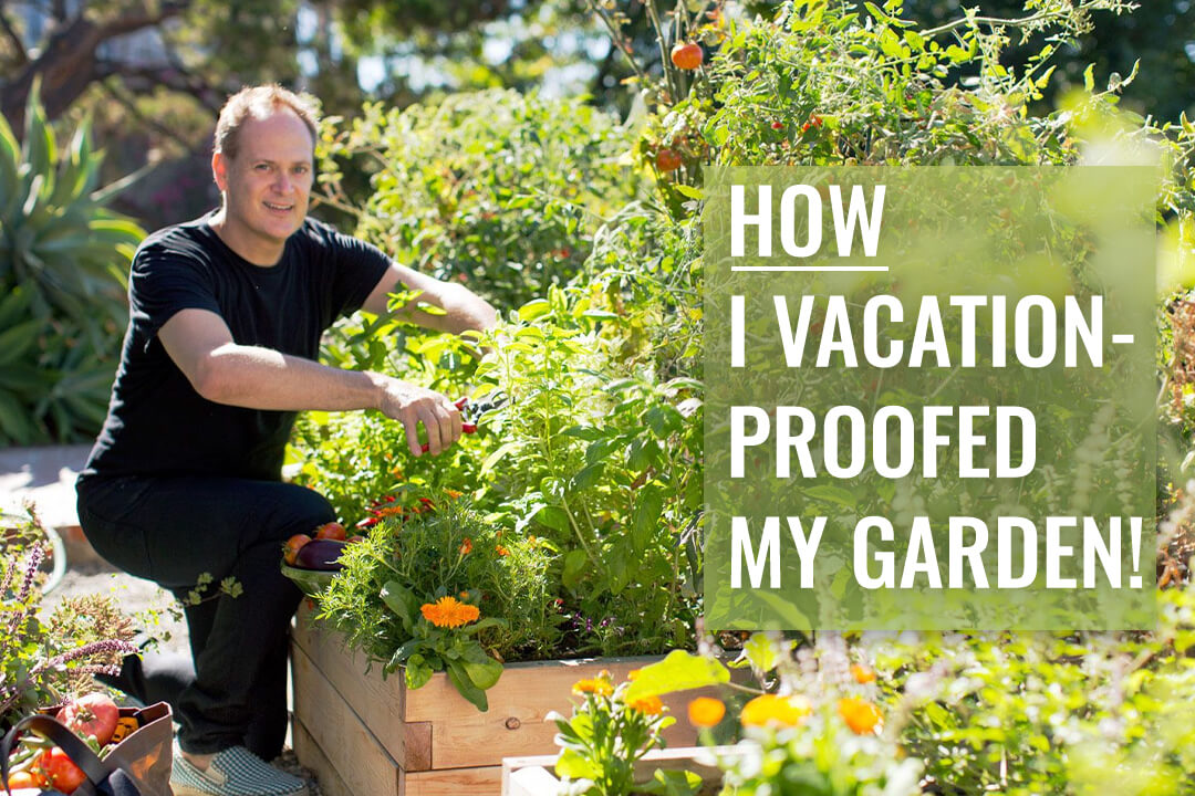 How I Vacation-Proofed My Garden!