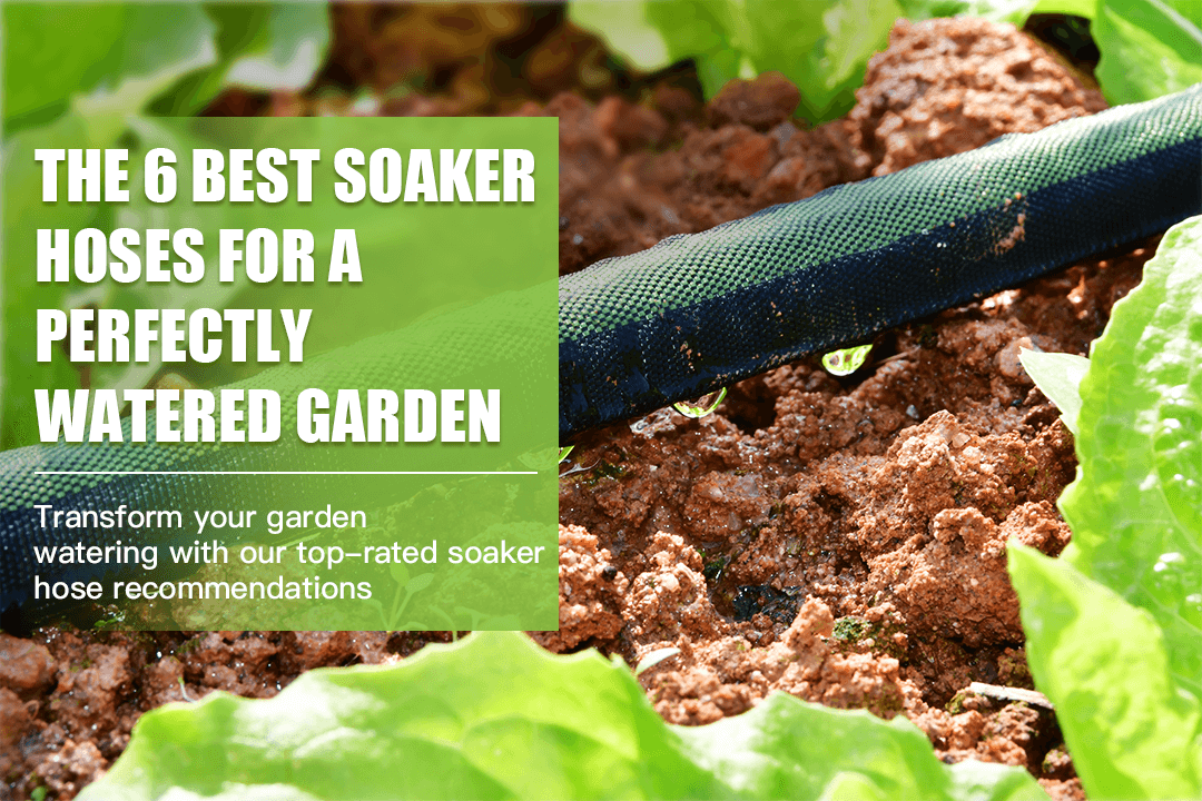 Soaker Hose Buying Guide