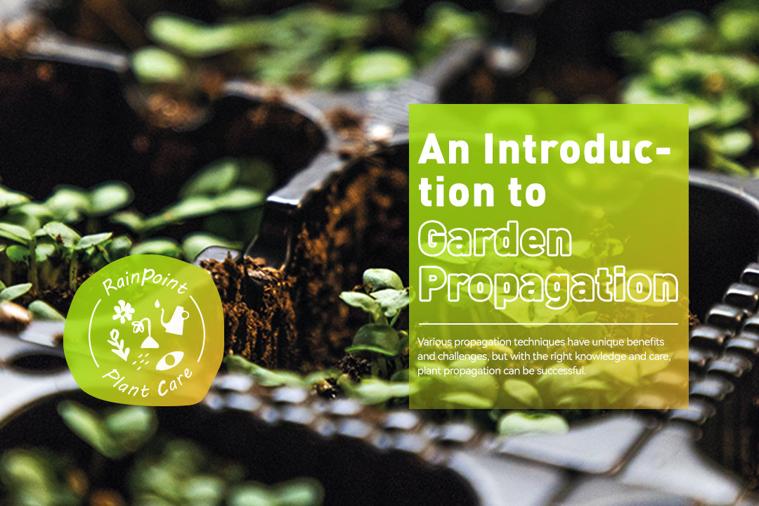 Propagate plants from seeds, plugs and divisions