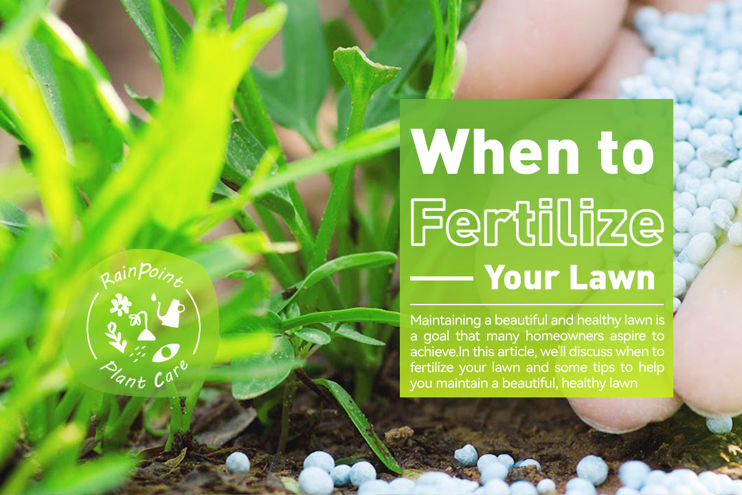 When to Fertilize Your Lawn