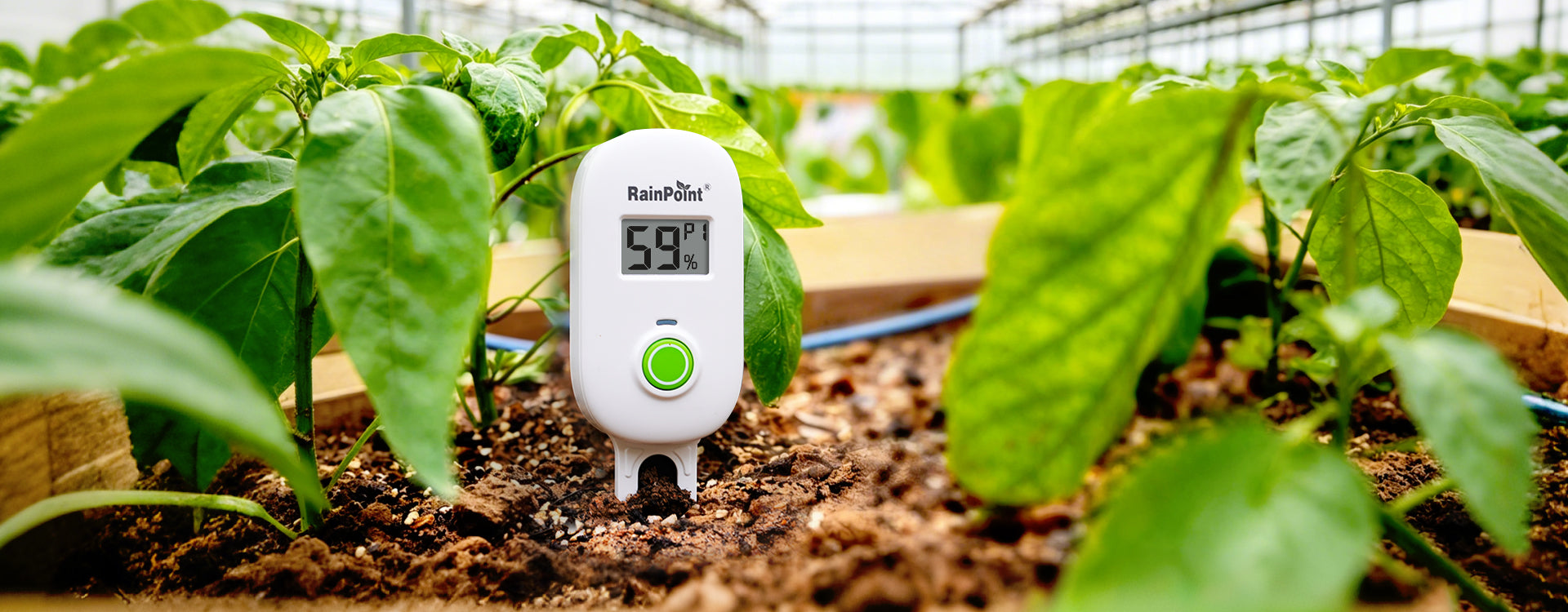 Garden Sensors