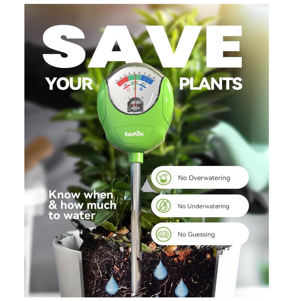 7 Ways RainPoint Saves You Money on Water Bills