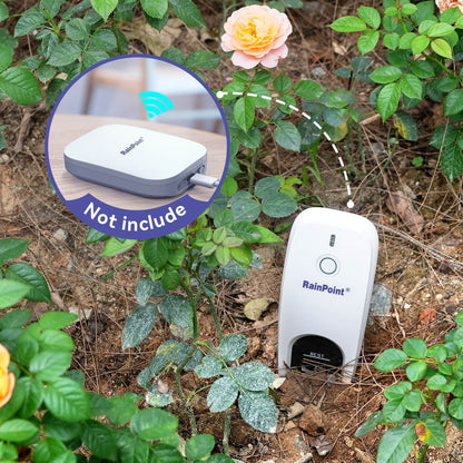 rain point wifi module