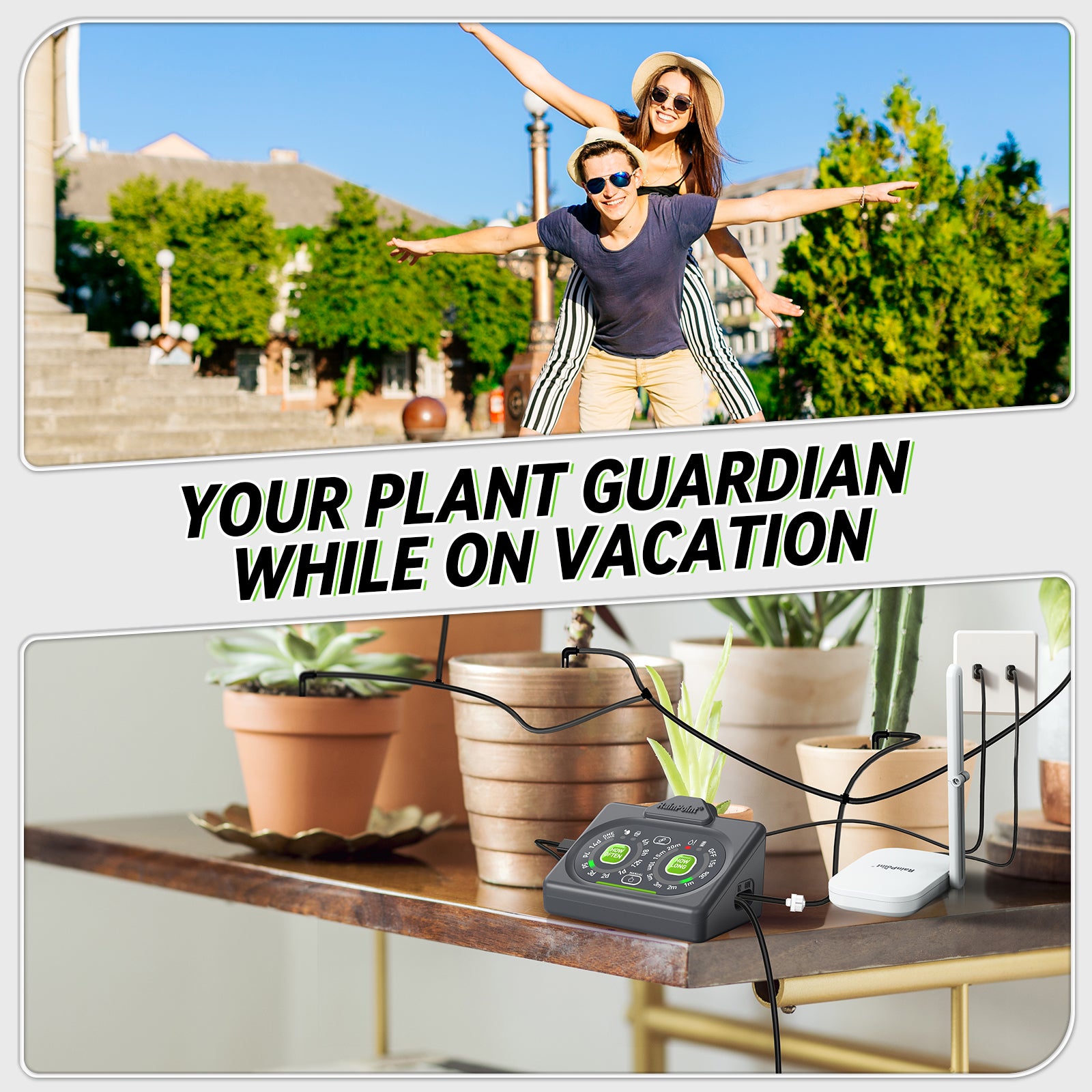 Rainpoint Smart Automatic Watering System for 15 Potted Plants, Local Control &amp; Remote WiFi/App Control