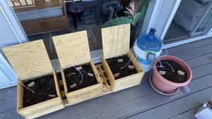 oscillating sprinkler